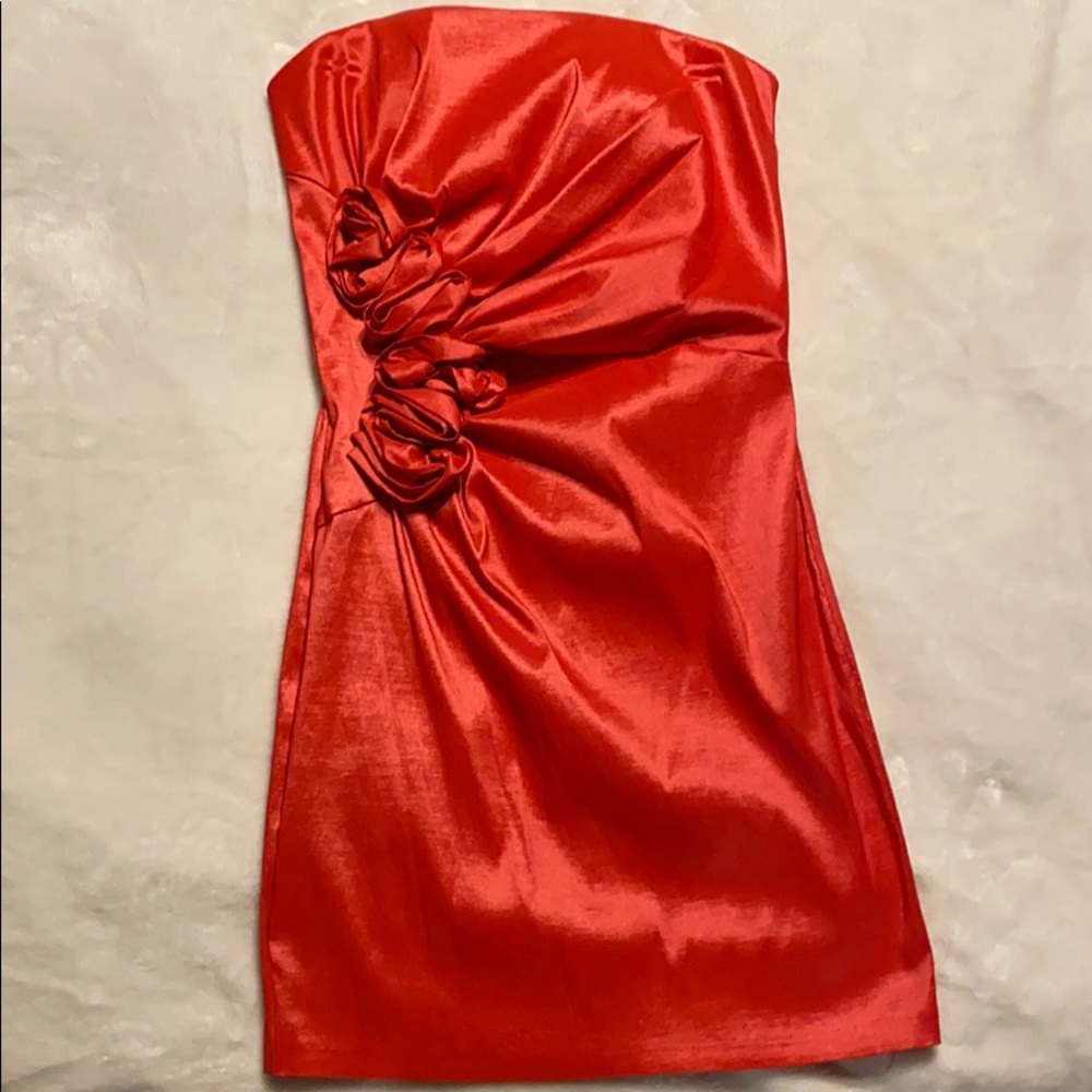 Jessica McClintock Formal Dress